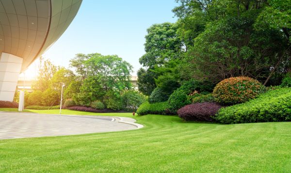 Cost of Commercial Shrub Trimming in Kaysville