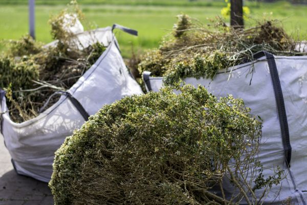 Cost of Bush Removal Service in Kaysville