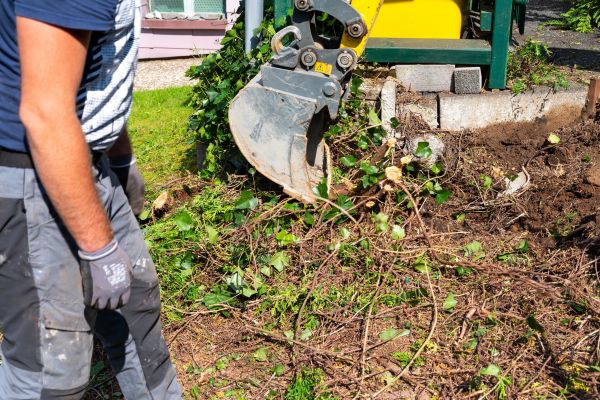 Cost of Hedge Removal Service in Kaysville