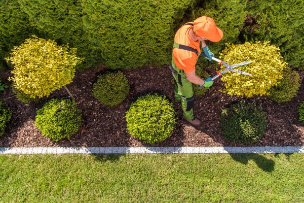 Cost of Topiary Trimming in Kaysville