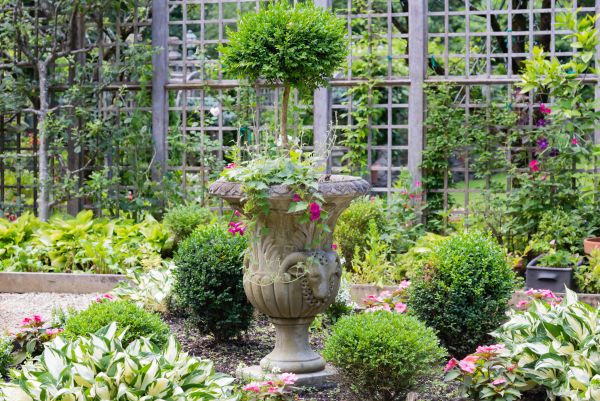Cost of Topiary Pruning in Kaysville