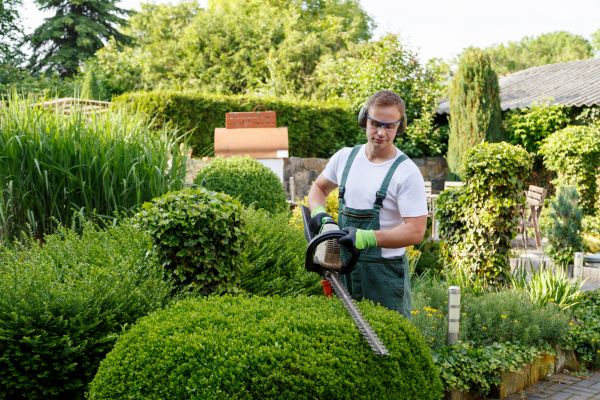 Cost of Shrubs Trimming in Kaysville