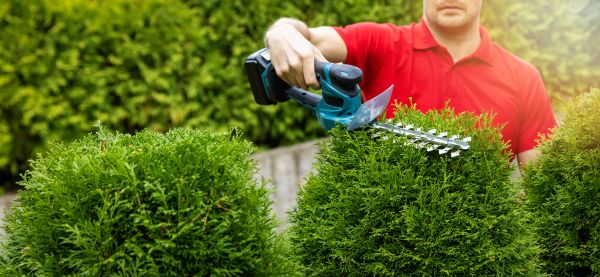 Cost of Hedge Shaping Service in Kaysville